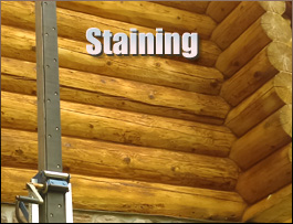  Northumberland County, Virginia Log Home Staining